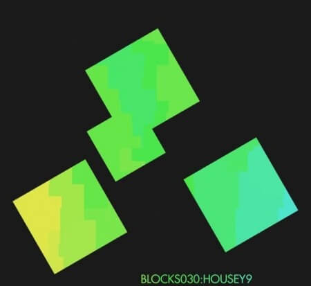 Xelon Digital Blocks 030 - Housey 9 WAV